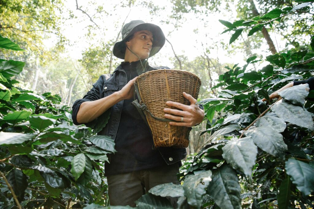 fruit picker